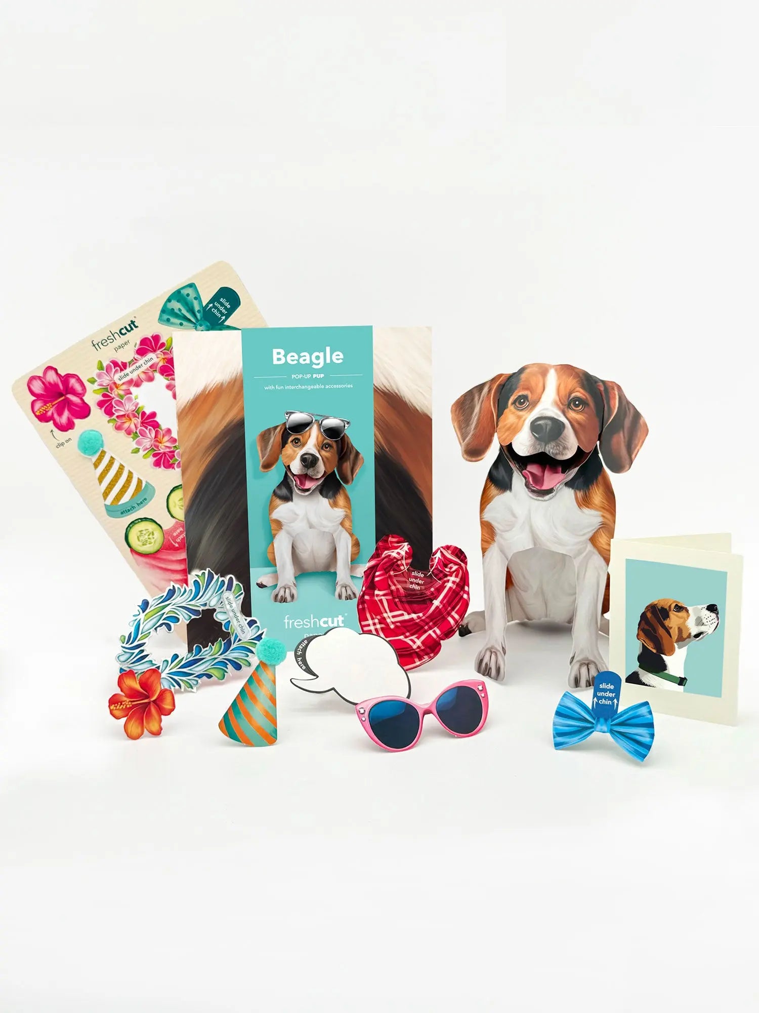 Beagle Pop-Up Pup  with accessories