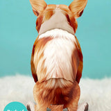 Back of Corgi Pop-Up Pup