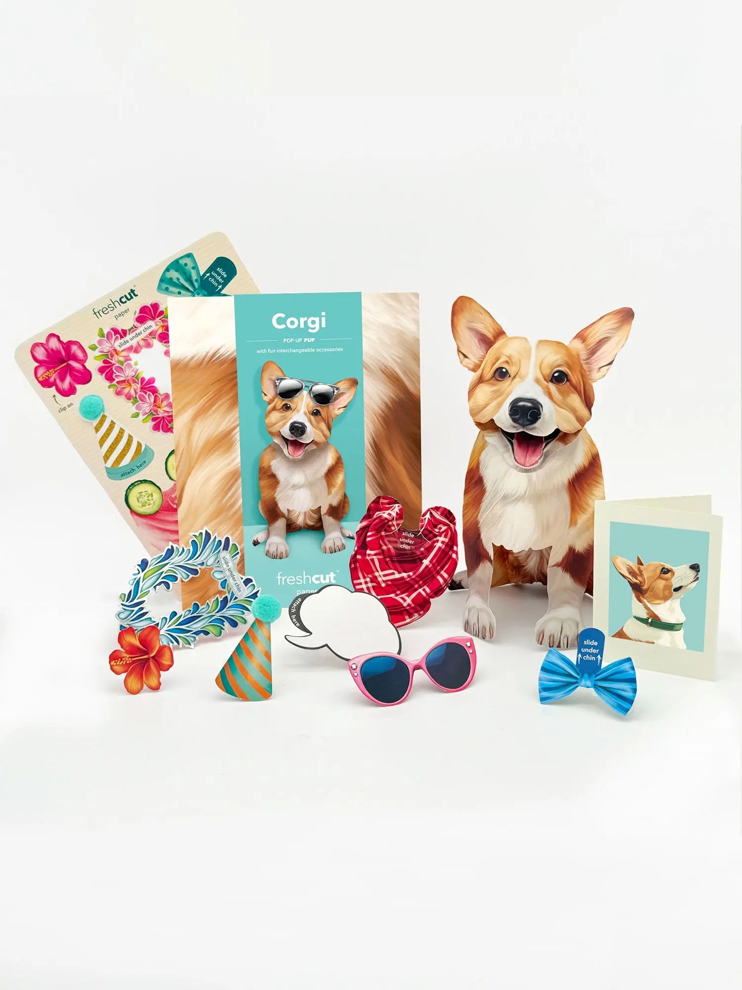 Corgi Pop-Up Pup with accessories