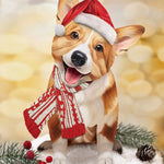 Holiday Corgi Pop-Up in Santa Hat