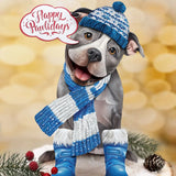 Holiday Pit Bull Pop-Up Card