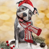 Holiday Pit Bull Pop-Up Card in Santa hat