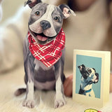 Gray Pit Bull Pop-Up Pup with matching blank notecard and accessories