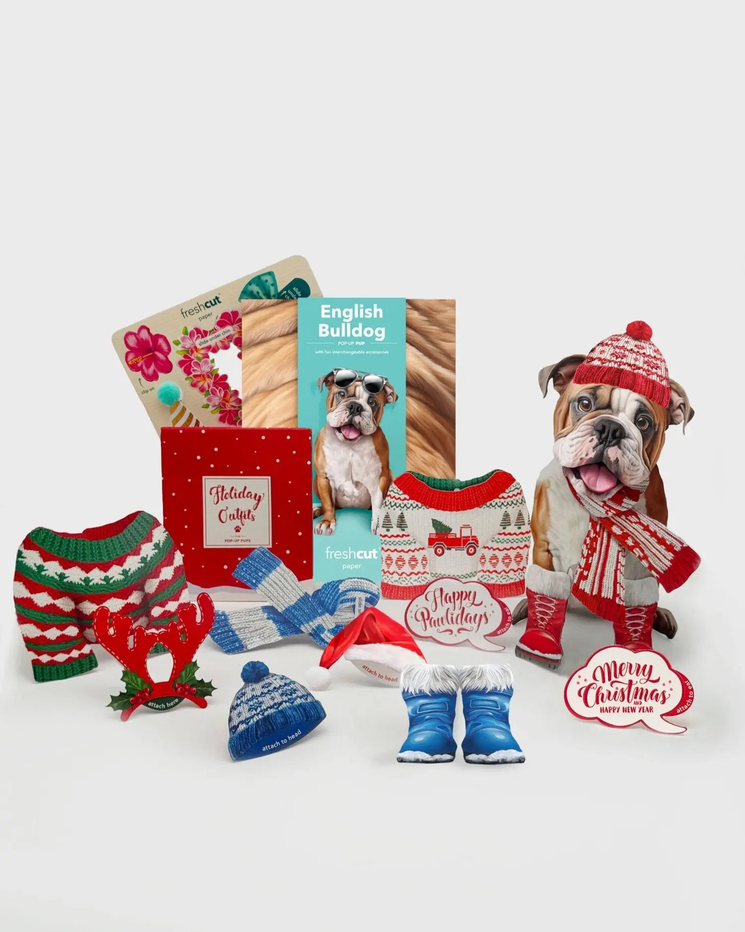 English Bulldog Holiday Whats Included