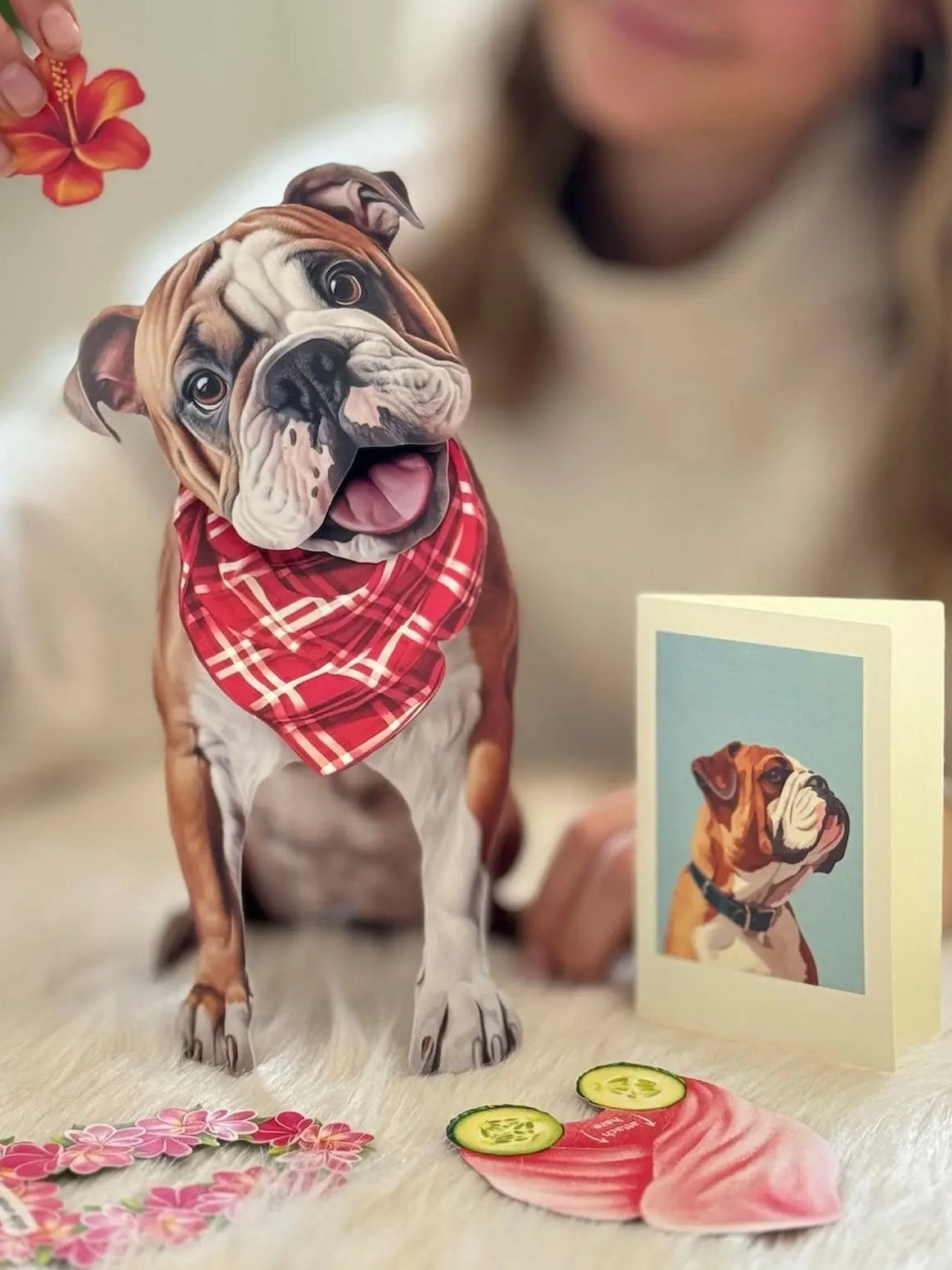 English Bulldog Pop-Up Pup with matching blank notecard and accessories