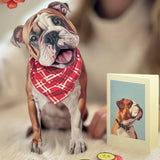 English Bulldog Pop-Up Pup with matching blank notecard and accessories