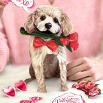 Valentine's Day Poodle Pop-Up Card FreshCut Paper