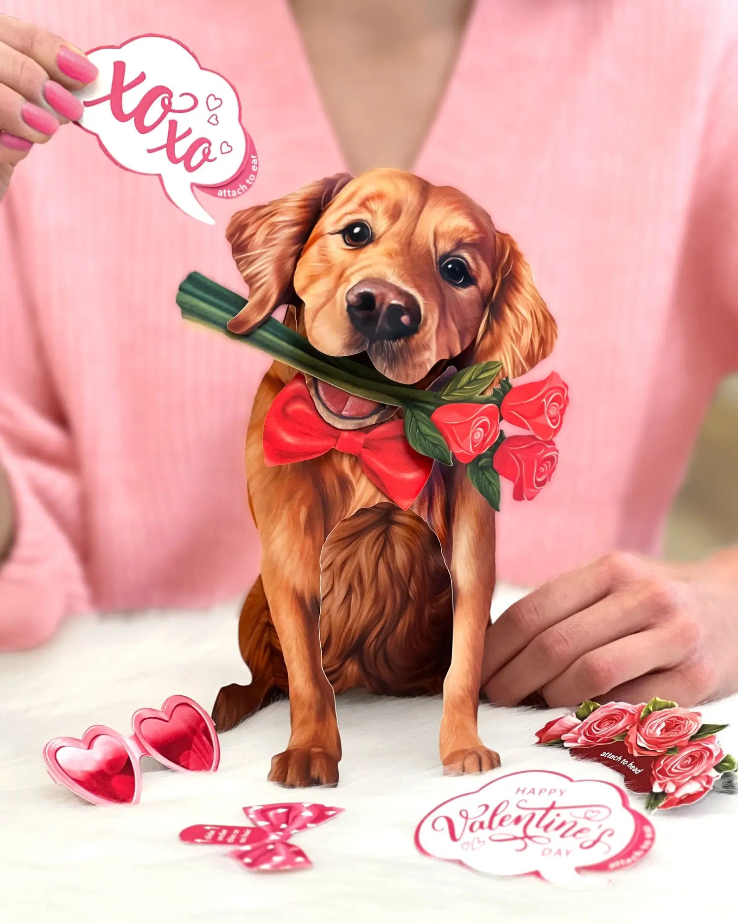 Valentine's Day Golden Retriever Pop-Up Card FreshCut Paper