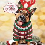 Holiday German Shepherd Pop-Up Card