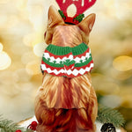 back of Holiday Orange Tabby Cat Pop-Up Card