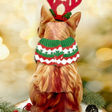 back of Holiday Orange Tabby Cat Pop-Up Card
