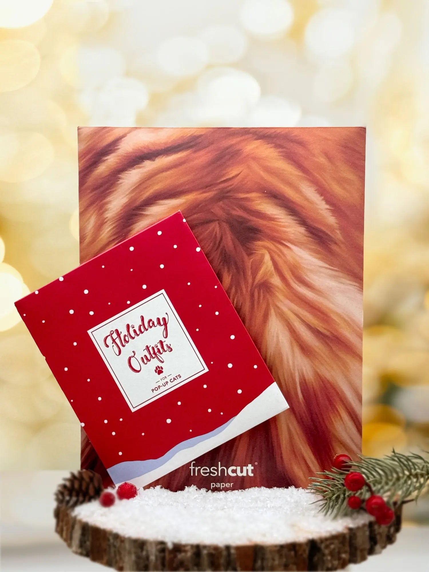 Holiday Orange Tabby Cat Pop-Up Card envelope