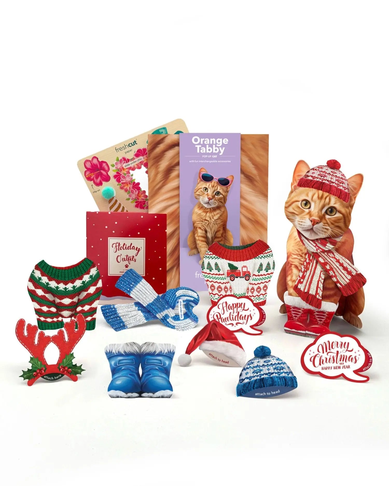 Orange Tabby Holiday Whats Included
