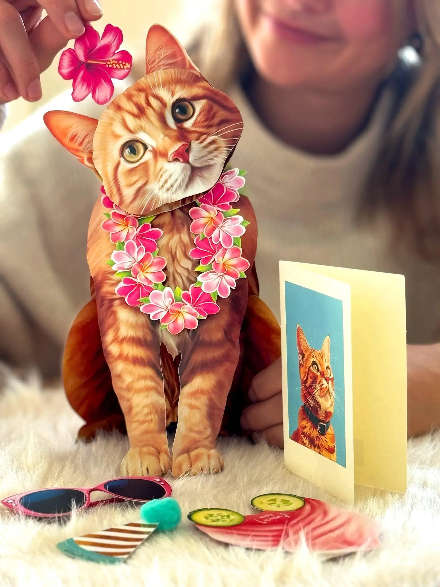 Orange Tabby Pop-Up Cat with  accessories