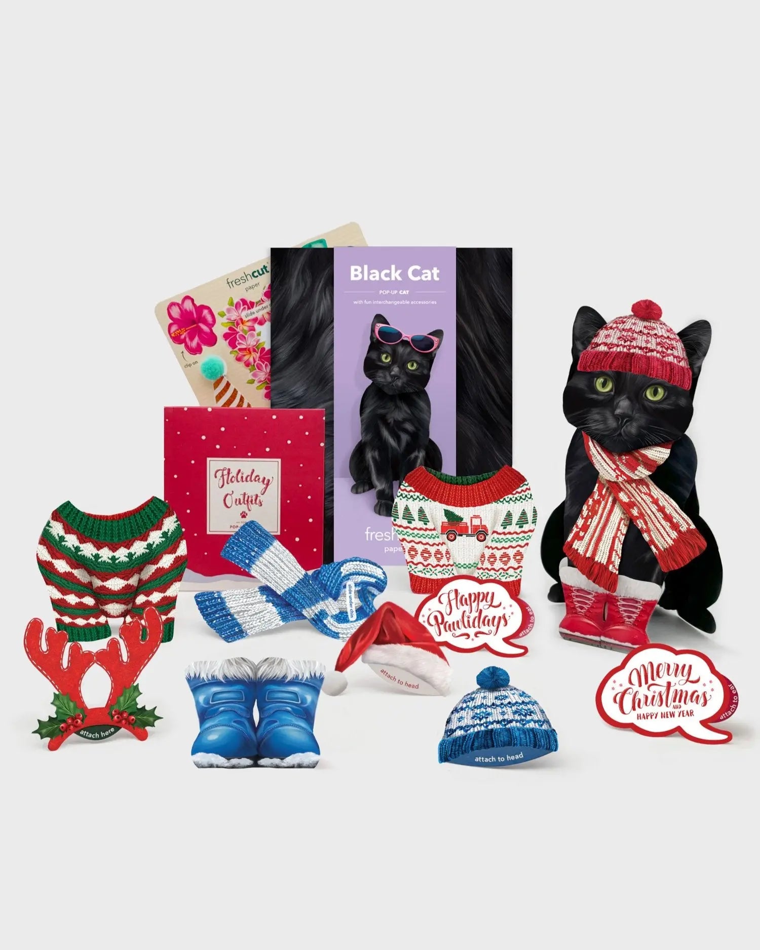 Black Cat Holiday Whats Included