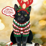 Holiday Black Cat Pop-Up