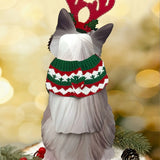 Back of Holiday Ragdoll Cat Pop-Up Card