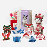 Ragdoll Cat Holiday Whats Included
