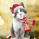 Holiday Ragdoll Cat Pop-Up Card in Santa hat