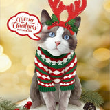 Holiday Ragdoll Cat Pop-Up Card