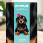 Dachshund Pop-Up Card Freshcut Paper