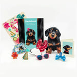 Dachshund Pop-Up Card Freshcut Paper