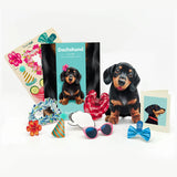 Dachshund Pop-Up Card Freshcut Paper