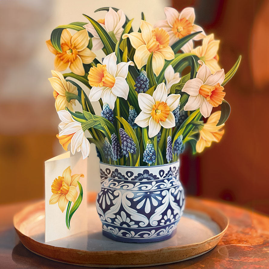 English Daffodils