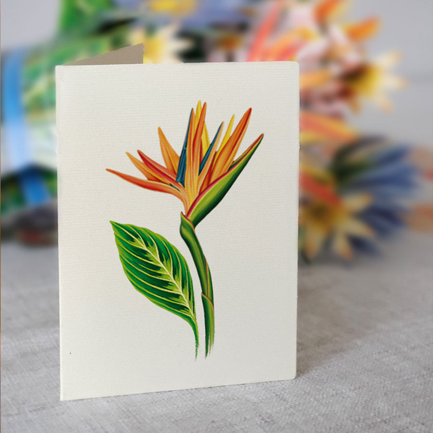 Tropical Bloom