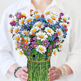 Field of Daises