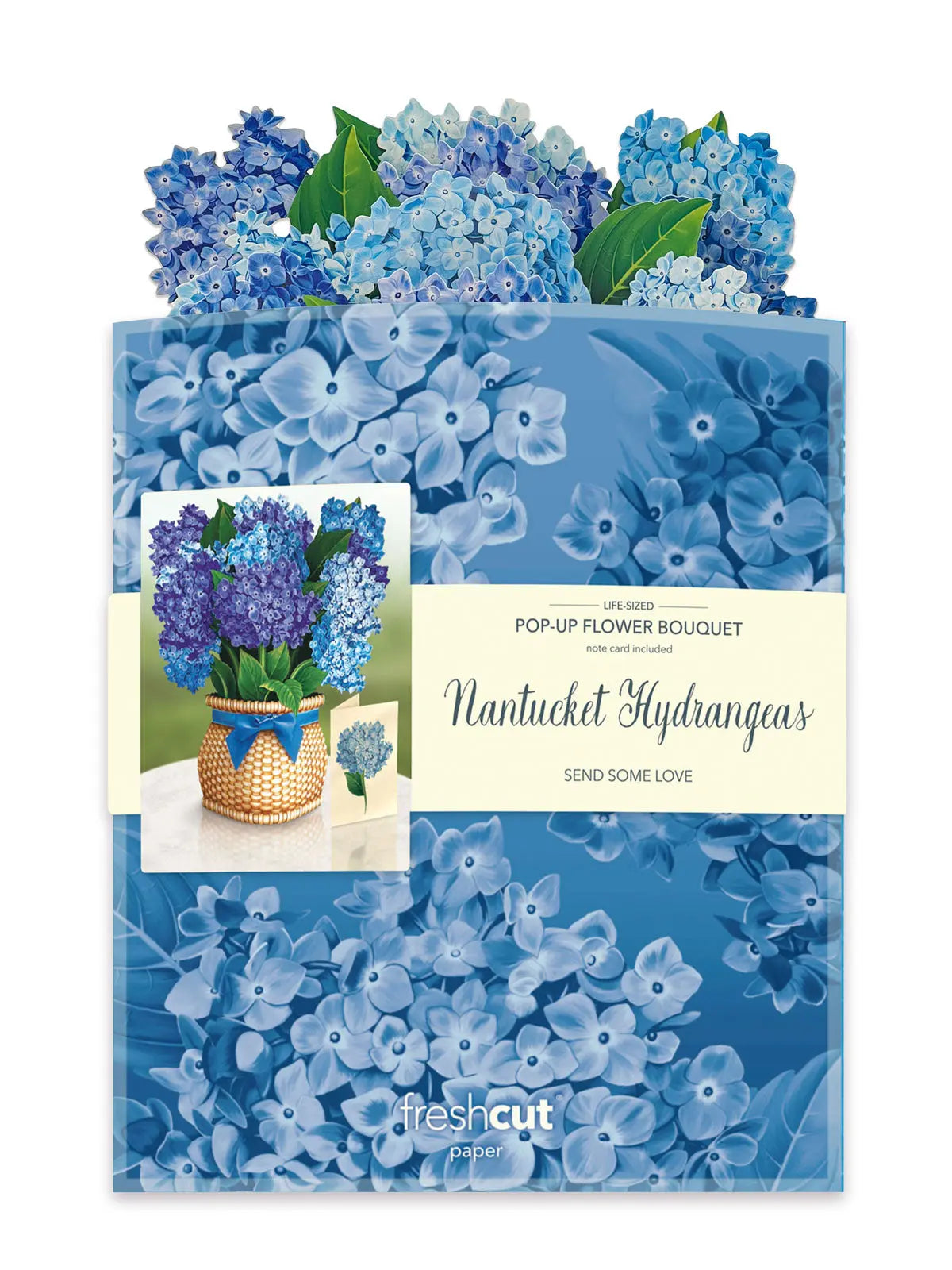 Nantucket Hydrangeas with envelope