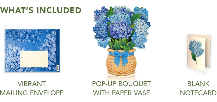 Nantucket Hydrangeas
