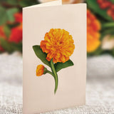 Pumpkin Spice matching notecard