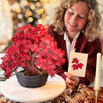 Red Maple Tree harvest centerpiece
