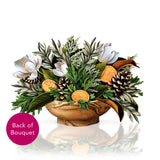 Winter Magnolia with Pine Cones