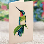 Hummingbird Oasis - FreshCut Paper