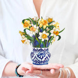 Mini English Daffodils