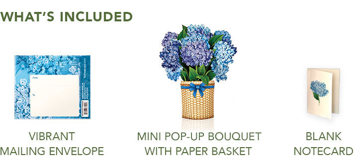Mini Nantucket Hydrangeas Pop-Up Card