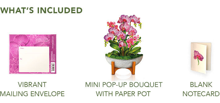 Mini Orchid Oasis Pop-Up Card