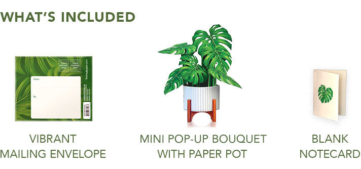 Mini Monstera Pop-Up Card