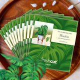 Mini Monstera Pop-Up Card FreshCut Paper