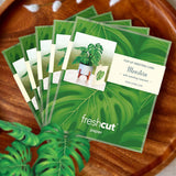 Mini Monstera Pop-Up Card FreshCut Paper
