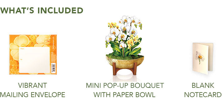 Mini Serenity Orchid Pop-Up Card