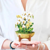 Mini Serenity Orchid - FreshCut Paper