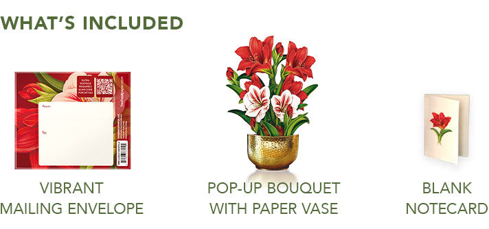 Mini Christmas Scarlet Amaryllis Pop-Up Card