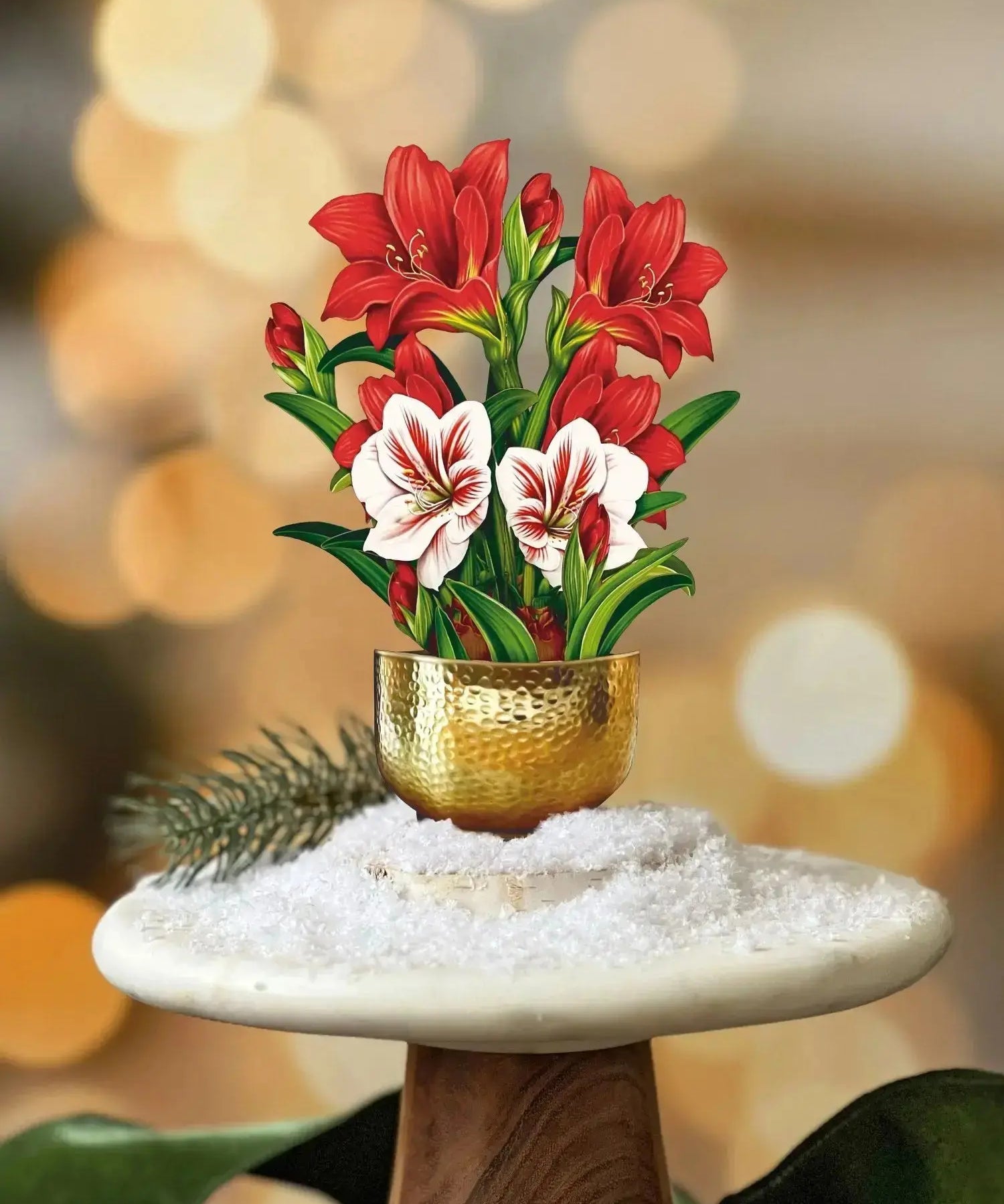 Mini Scarlet Amaryllis
