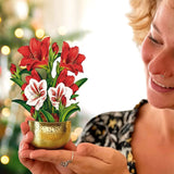Mini Scarlet Amaryllis with gold-colored pot