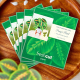 Mini Prayer Plant Pop-Up Card FreshCut Paper