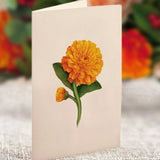 Mini Pumpkin Spice matching notecard