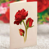 Mini Blooming Roses Pop-Up Card broken listing FreshCut Paper